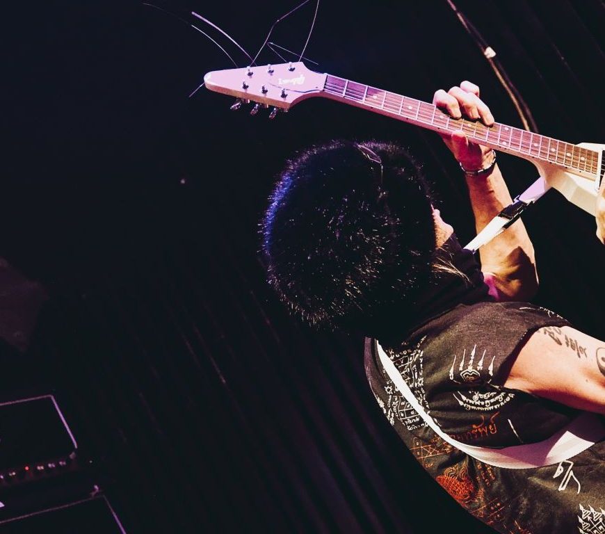 MICHAEL SCHENKER GROUP